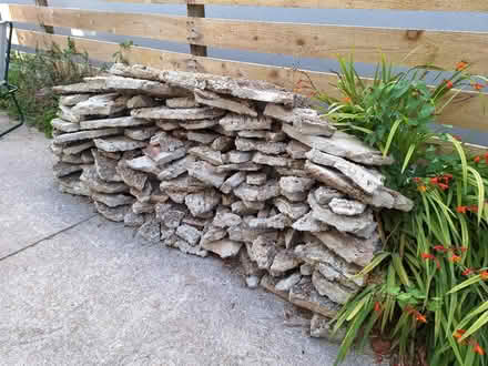 Photo of free Hardcore (Brixham TQ59) #1