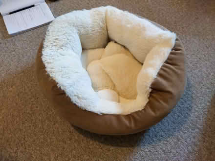 Photo of free Small pet bed (Rodbourne SN2) #1
