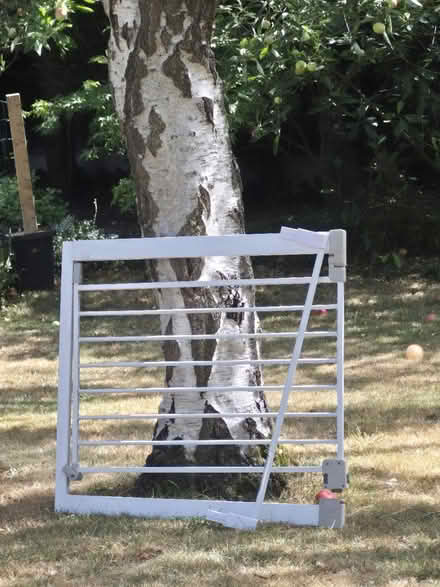 Photo of free Baby gate and extension (CM3 Danbury) #1