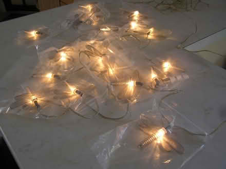 Photo of free Set of 20 Dragonfly fairy lights (West Moors BH22) #1