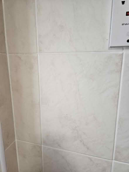 Photo of free Box of Eliane Mitra beige tiles (Kendal LA9) #3
