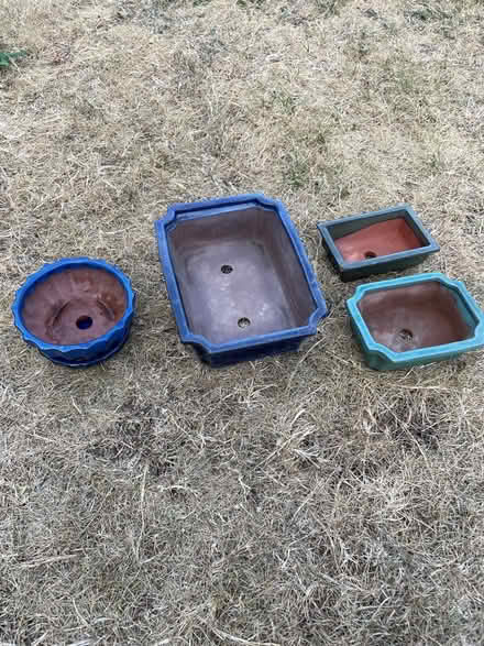 Photo of free Four Bonsai planters and food (Chewton Keynsham BS31) #1