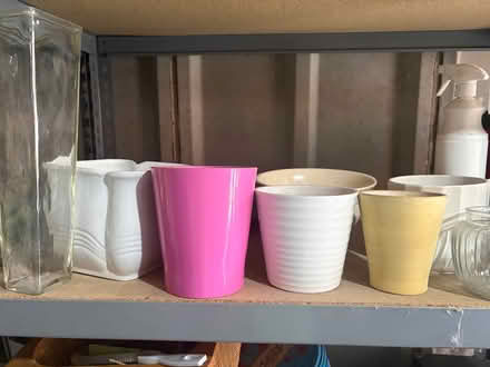 Photo of free Various plant pots (Worsley M28) #2