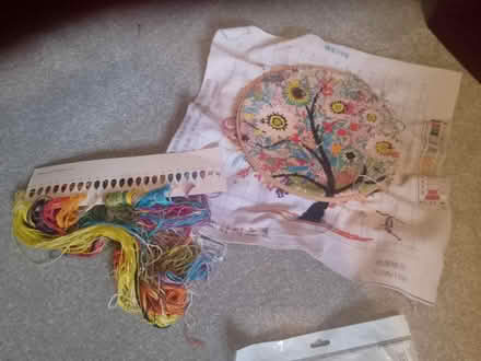 Photo of free 2 embroidery kits (Salt, ST18) #2