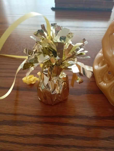 Photo of free Inflatable crown and balloon weight (Didcot OX11) #2