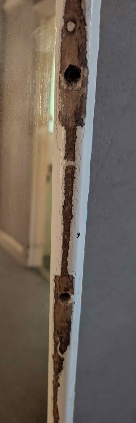 Photo of free Old long mirror (Hastings TN34) #2
