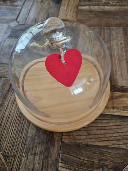 Photo of free Small cheese dome (Enfield EN1) #1
