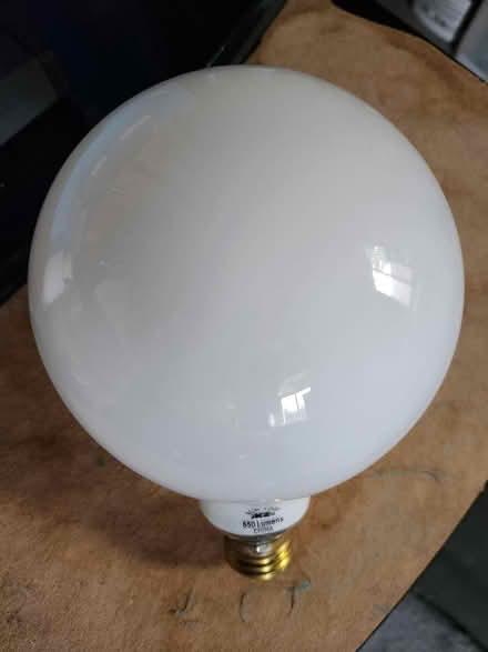 Photo of free Large.Globe Lightbulb (SE Denver) #1