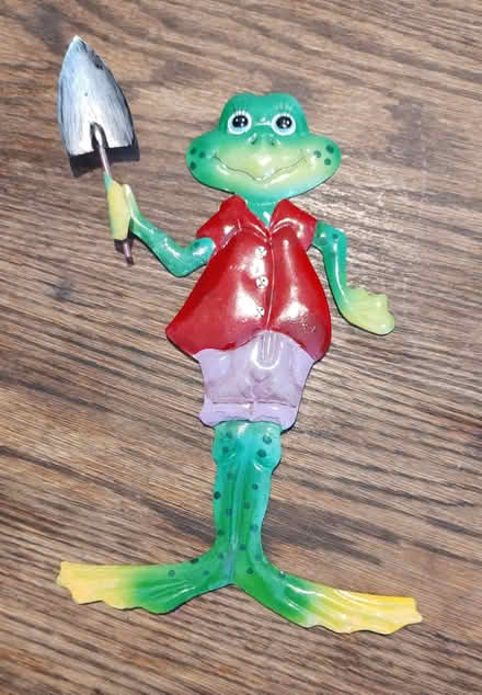 Photo of free Gardening Frog (Faversham ME13) #1