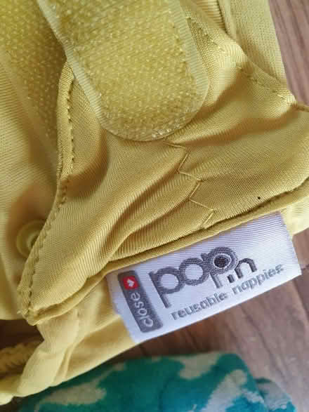 Photo of free 9xReusable nappies & box of liners (Central park, East Ham E6) #2