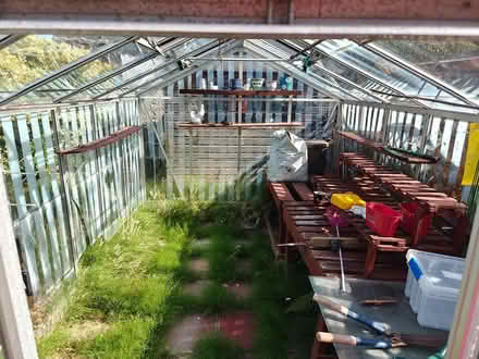 Photo of free Metal frame walk in greenhouse (Great Sutton CH66) #2
