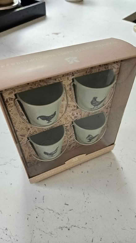 Photo of free Egg cups (Terriers HP13) #2