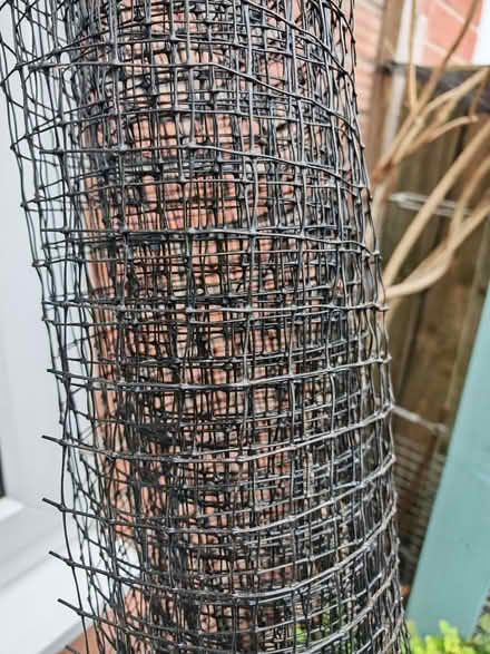 Photo of free Extruded deer netting (Great Sutton CH66) #1