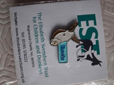 Photo of free Donkey pin (Styvechale, Coventry CV3) #1