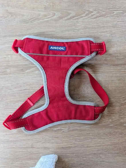 Photo of free Dog Harness (Chippenham SN14) #1