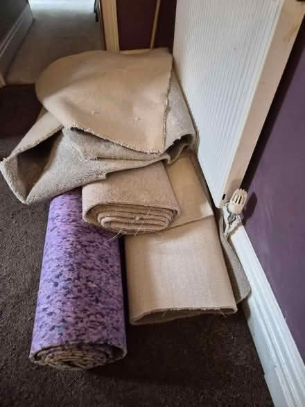 Photo of free Carpet and underlay offcuts (Cottingham Hu16) #2