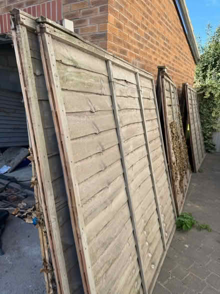 Photo of free 5 fence panels (Sileby LE12) #2