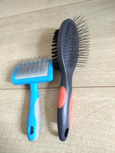 Photo of free Dog Grooming Brushes (Comely Bank EH4) #1