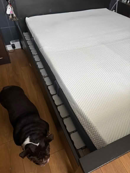 Photo of free Emma mattress (Enfield EN3) #2