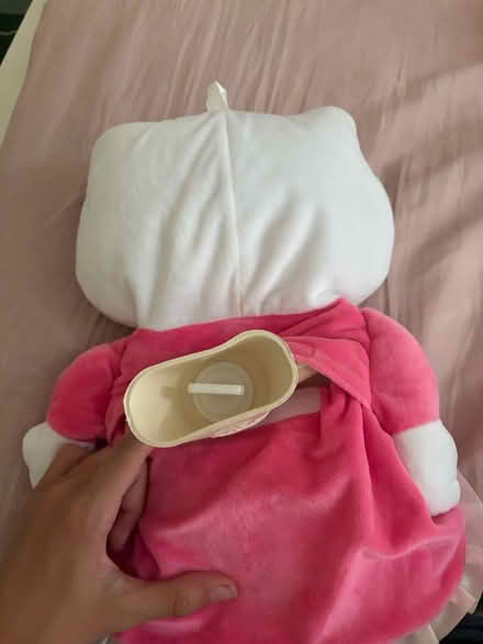 Photo of free hello kitty teddy bear + labubu (Forest Gate E7) #4
