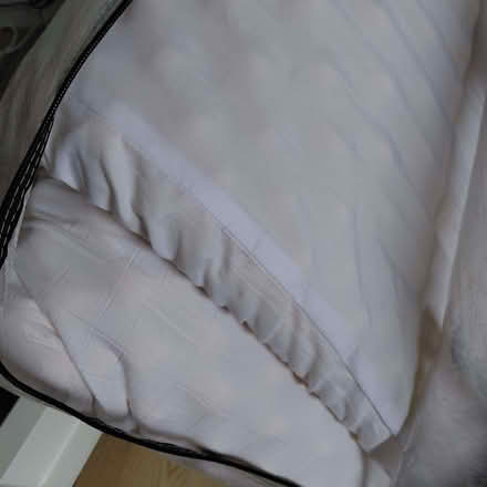 Photo of free Double Mattress topper (Lochend EH7) #1