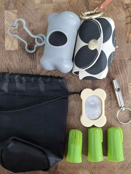Photo of free Dog bits and pieces (Bear flat) #1
