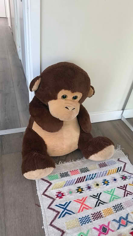 Photo of free Big monkey stuffed toy (E28FS) #1