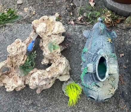 Photo of free Fish tank accessories (Whiteway, Bath) #1
