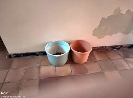 Photo of free Two plant pots (Anerley SE20) #1