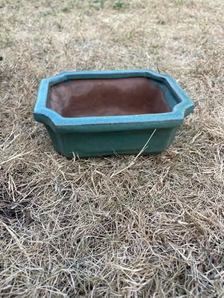 Photo of free Four Bonsai planters and food (Chewton Keynsham BS31) #4