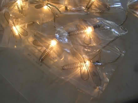 Photo of free Set of 20 Dragonfly fairy lights (West Moors BH22) #2
