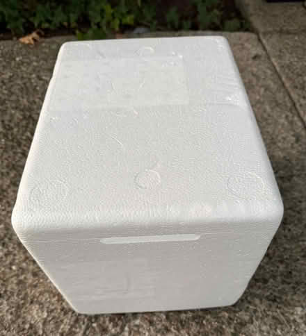 Photo of free Small styrofoam cooler & ice packs (1075 Valencia Avenue) #2