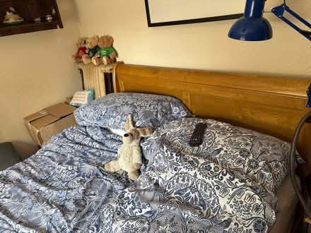 Photo of free Double sleigh bed & mattress (Catsfield) #2