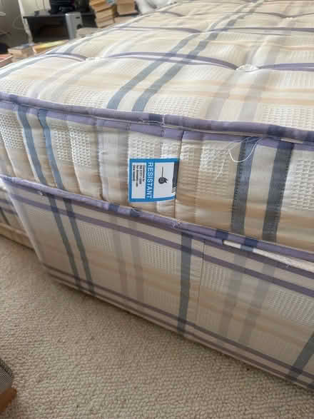 Photo of free TODAY ONLY - Single bed w/ pullout (Haringey) #3