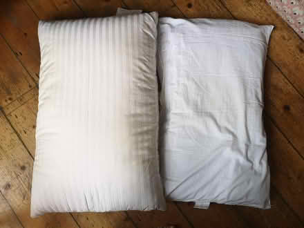 Photo of free Pillows (Joppa EH15) #1