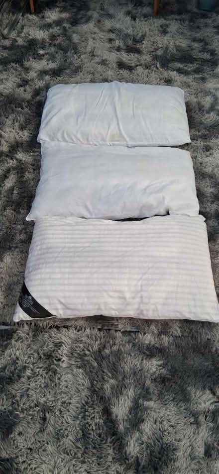 Photo of free 3 pillows (Norwich. NR3) #2