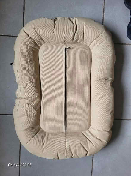 Photo of free Dog bed/cushion - waterproof and hard wearing (Kings Heath B13) #2