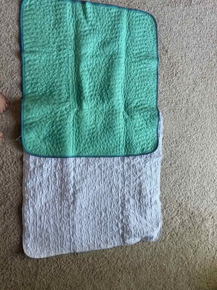 Photo of free Reusable Pee pad (South san jose) #1