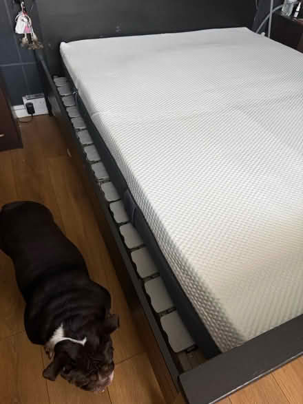 Photo of free Emma mattress (Enfield EN3) #4