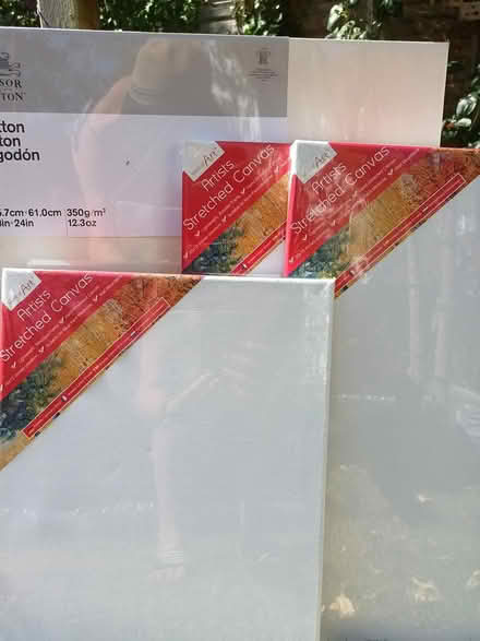 Photo of free Unused art canvases (Aylesford ME20) #1