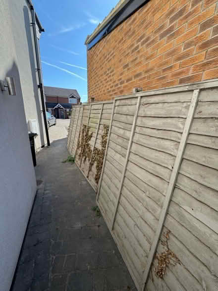Photo of free 5 fence panels (Sileby LE12) #1
