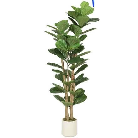Photo of Artificial plant (Rise Park NG15) #1