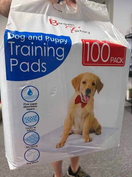 Photo of free Puppy training pads (Faygate) #1
