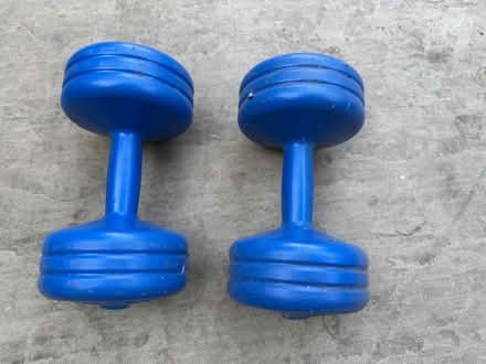 Photo of free York blue dumbbells 5kg (Cottonmill AL1) #2