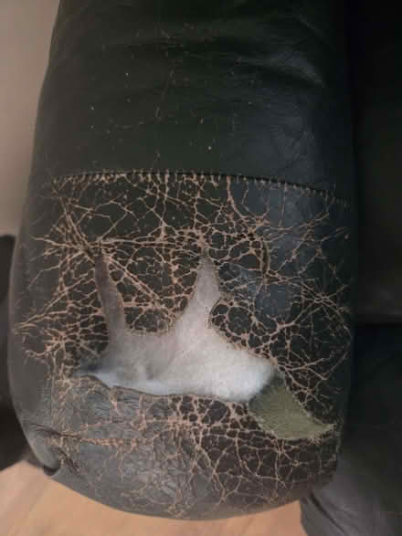 Photo of free Reclining armchair (Eastbourne BN21) #4