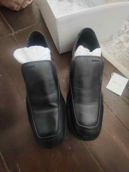 Photo of free Brand new size 6 Geox school shoes (Warminster BA12) #1