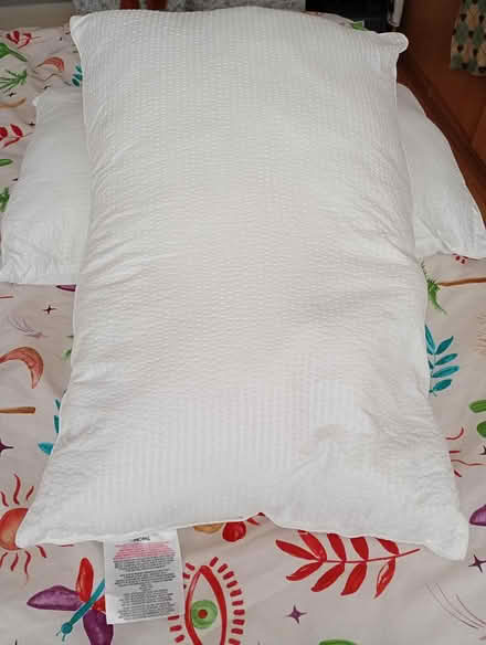 Photo of free Two new pillows (L14 Dovecot) #1