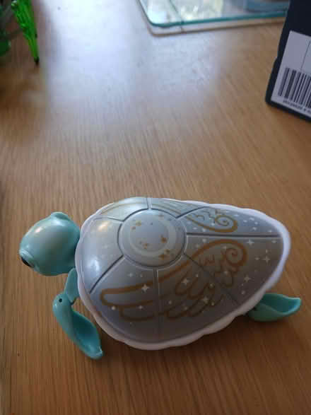 Photo of free Swimming turtle little live pets (Melbourn Royston SG86) #1