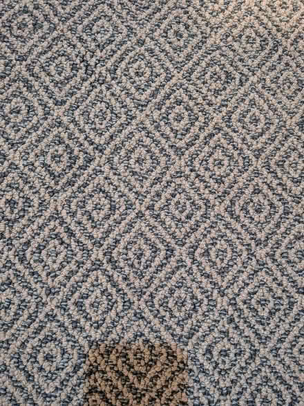 Photo of free New carpet pieces (Old Ottawa south) #2