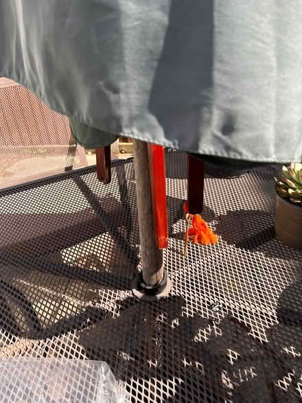 Photo of free Garden table umbrella (Langley SL3) #2